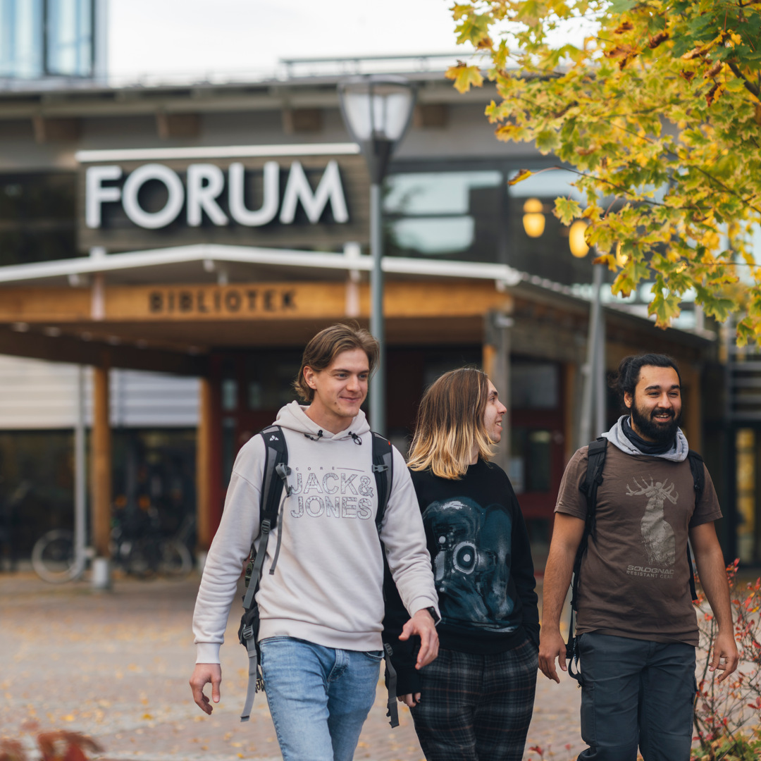 En grupp studenter på campusområdet