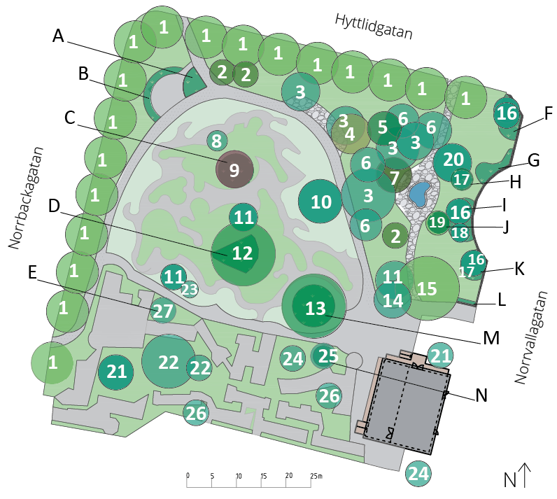 Växtkarta för rosariet i stadsparken i Skellefteå