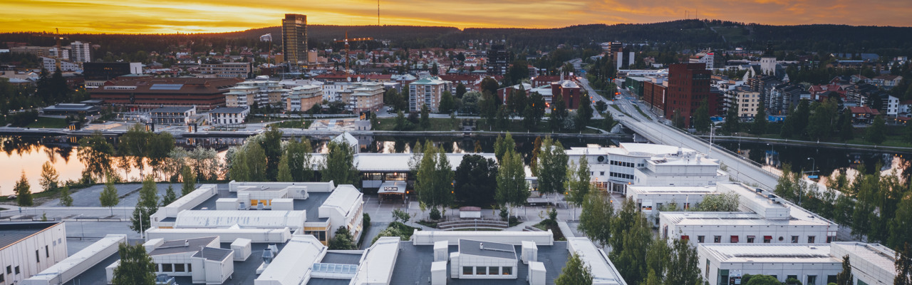 En flygbild av en stad i solnedgången.