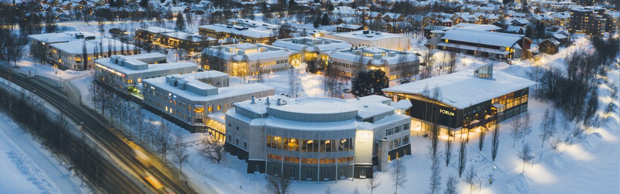 En flygbild av en stad på vintern.