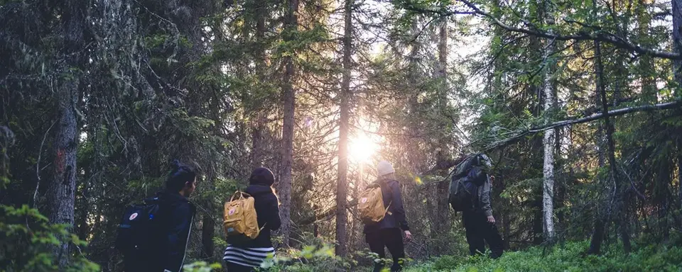 Tre personer med ryggsäckar i skogen på Vitberget