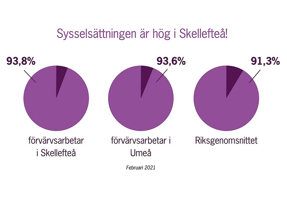 Sysselsättningen är hög i Skellefteå. 93,8% förvärvsarbetar i Skellefteå.