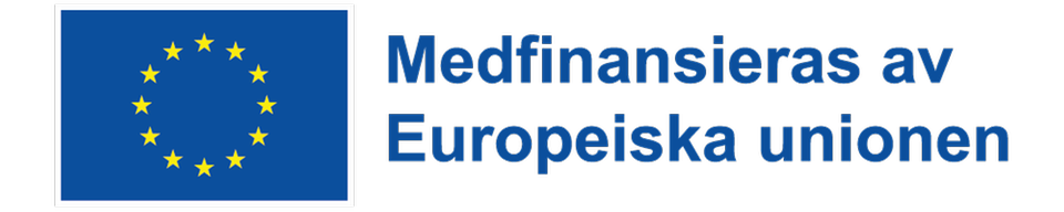 EU-logotyp med texten "Medfinansieras av Europeiska unionen" under flaggan