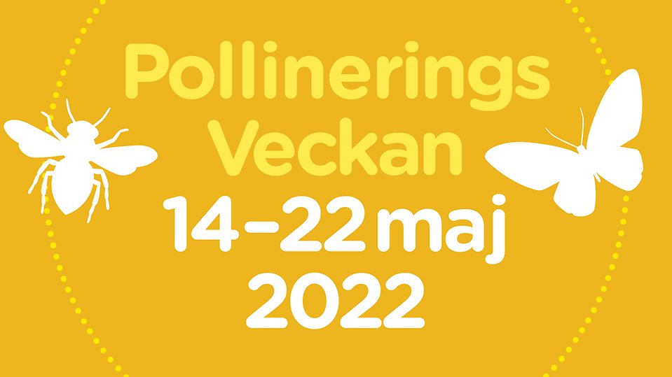 Pollineringsveckan 2022