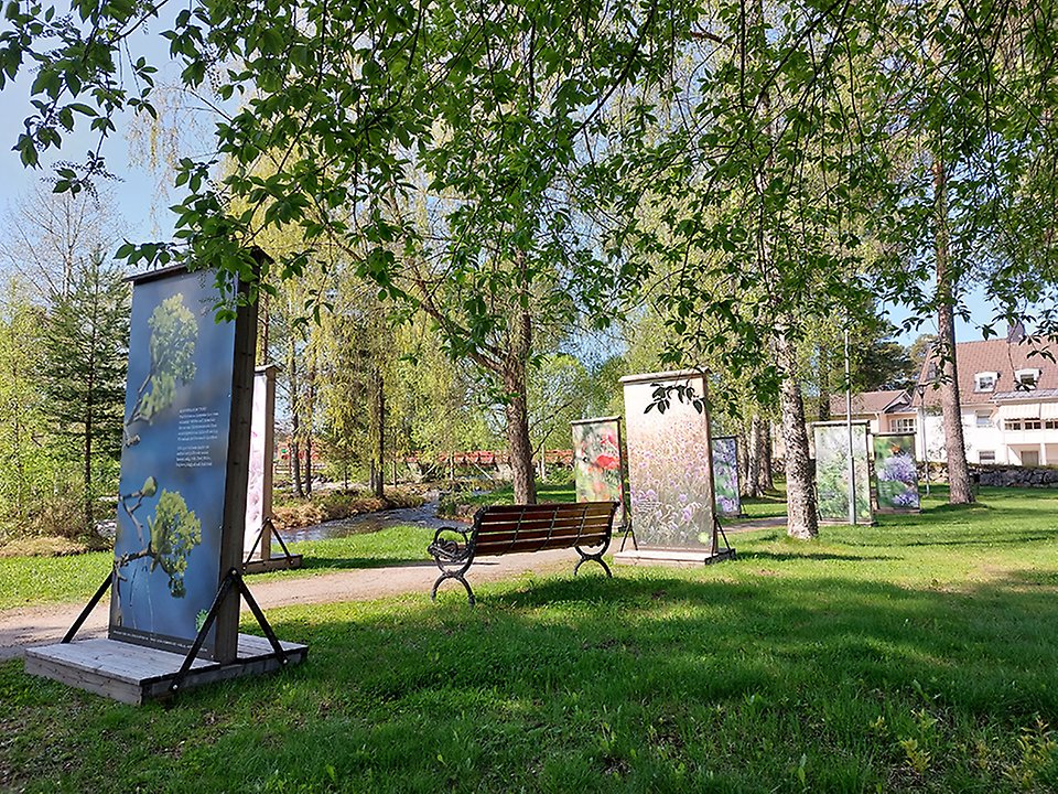 Stadsparken Skellefteå
