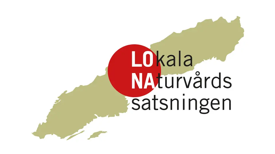 Logotyp för Lona-projektet
